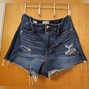 Universal Thread Sz 16/33 Distressed Shorts